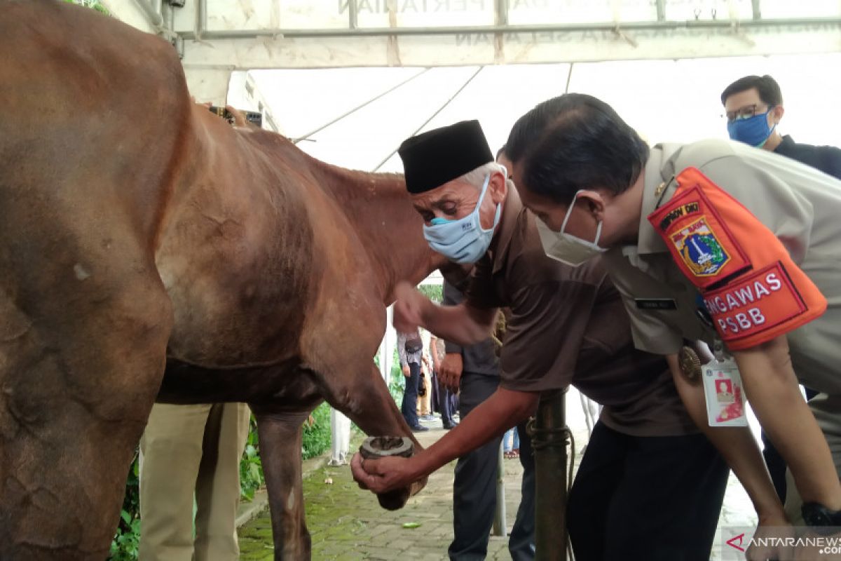 Pemkot Jaksel edukasi kusir delman cara pasang tapal kuda