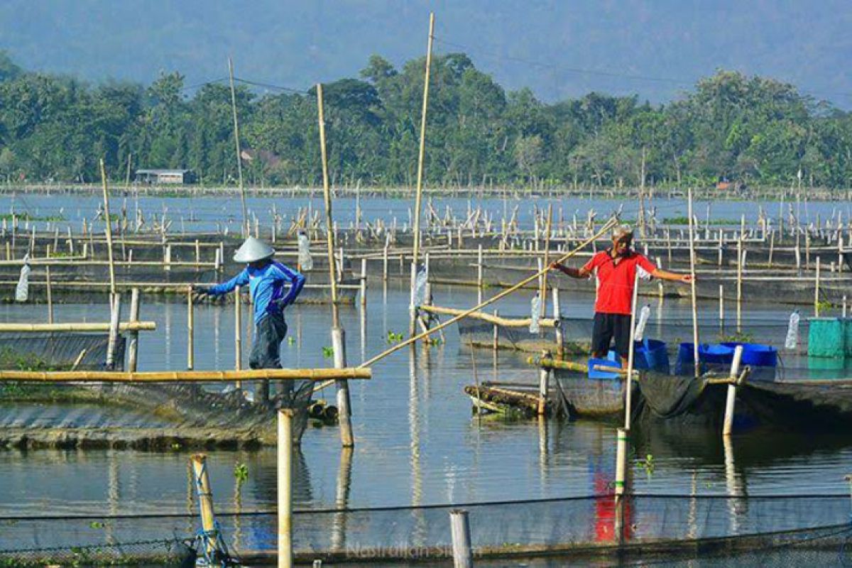 Rowo Jombor dikembalikan ke fungsi irigasi-pengendali banjir