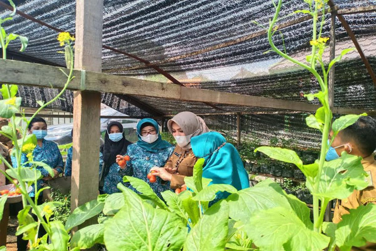 Desa Bintang Ninggi wakil Barut lomba desa tingkat Kalteng