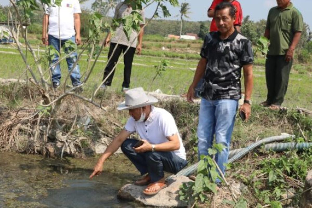 Bupati Lampung Selatan tinjau embung dengan sumber air panas