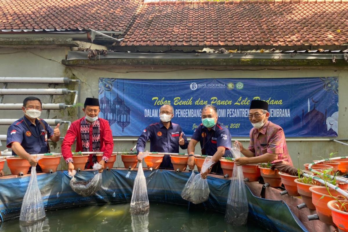 BI Bali dukung budidaya lele dan usaha roti oleh pesantren di Jembrana