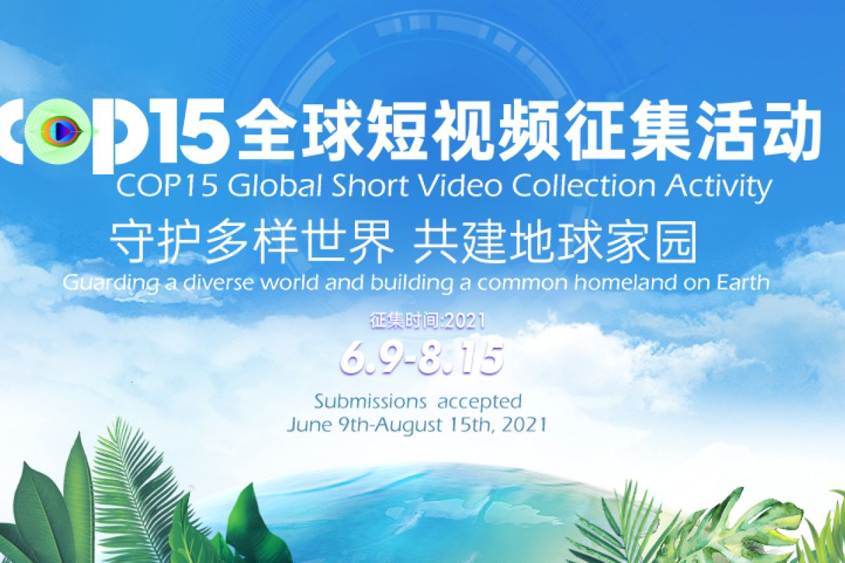 Global short video collection activity launched to capture beauty of biodiversity