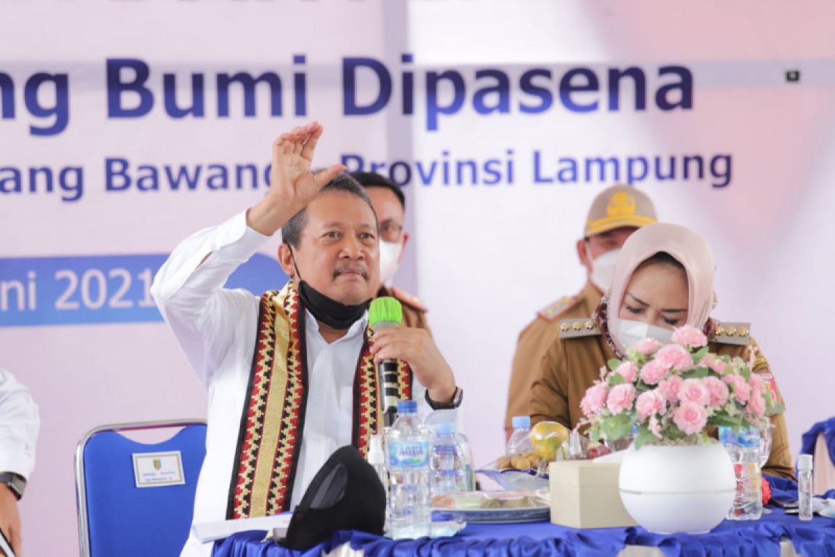 Menteri KKP : Revitalisasi solusi tingkatkan produktivitas tambak udang Dipasena