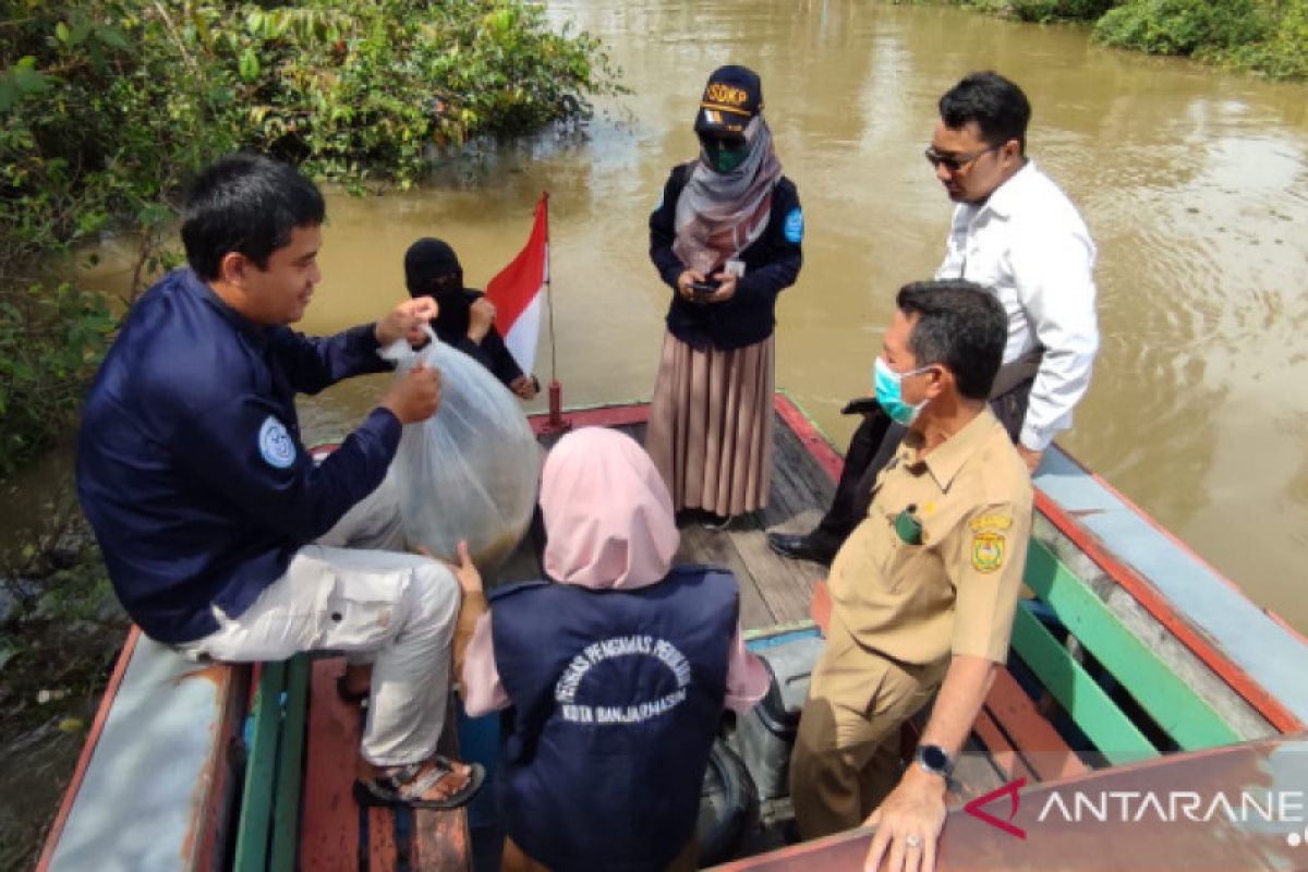 Pelestarian ikan kalabau sebagai maskot Banjarmasin terus digalakkan