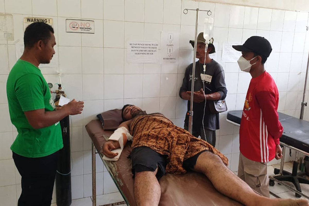 Diserang gajah liar, asisten pawang dilarikan ke rumah sakit