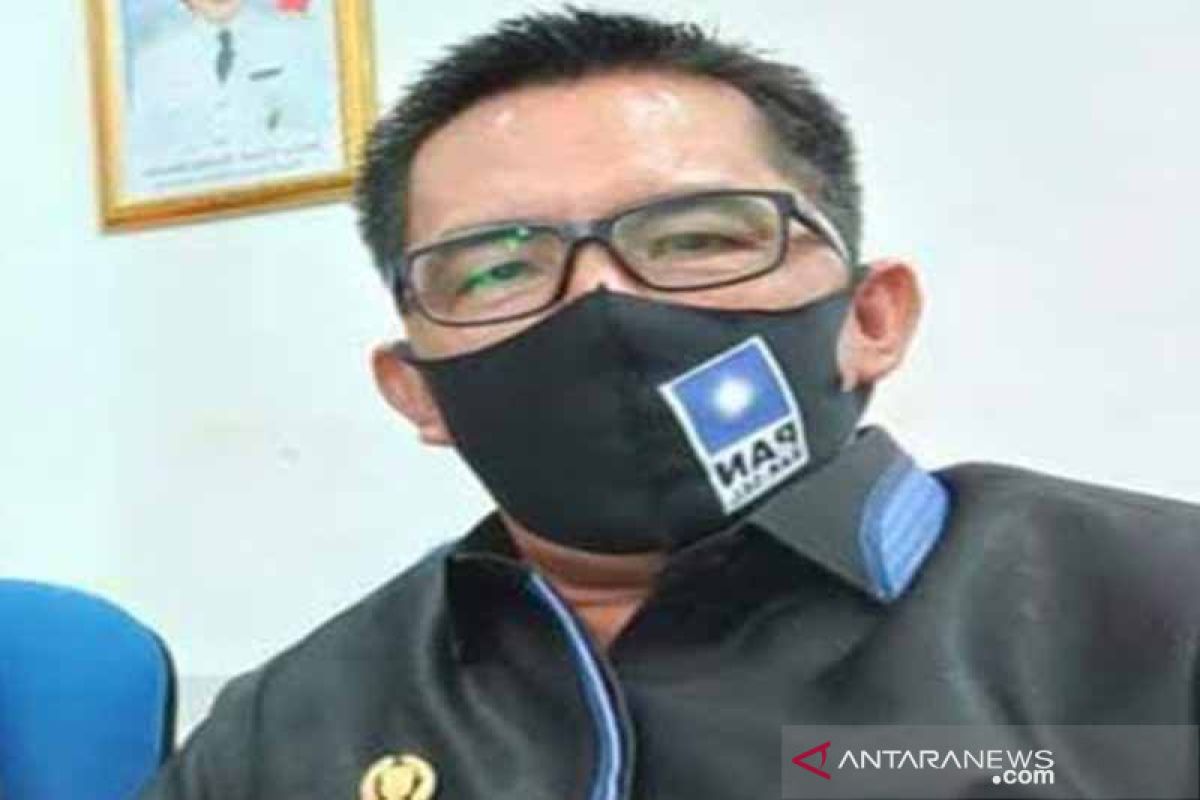 Legislator Barsel sebut sejumlah desa memerlukan penerangan listrik