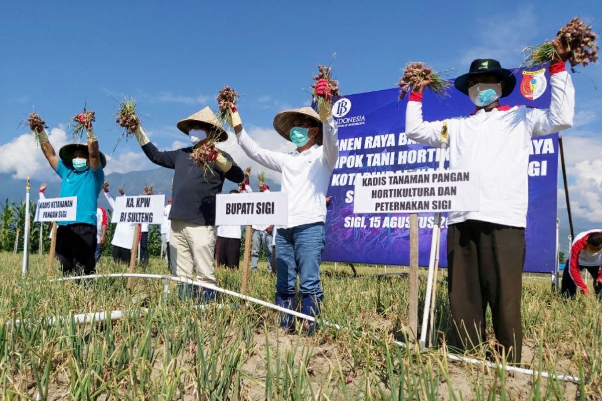 BI terus bantu tingkatkan perekonomian Sulteng yang terdampak pandemi