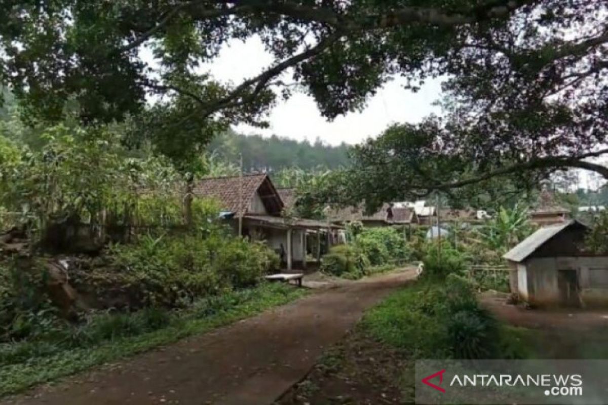 Universitas Brawijaya gandeng warga kaki Gunung Arjuno kelola hutan berkelanjutan