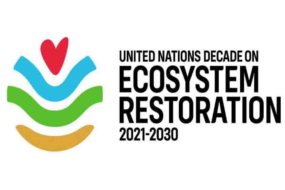 BNF terpilih sebagai pendiri UND Restorasi Ekosistem
