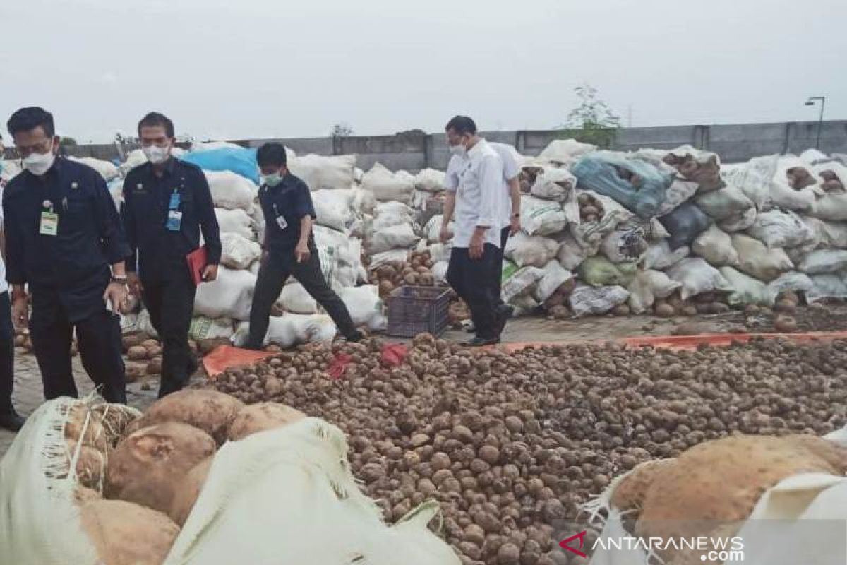 Mentan dorong industri pengolahan porang terus berkembang