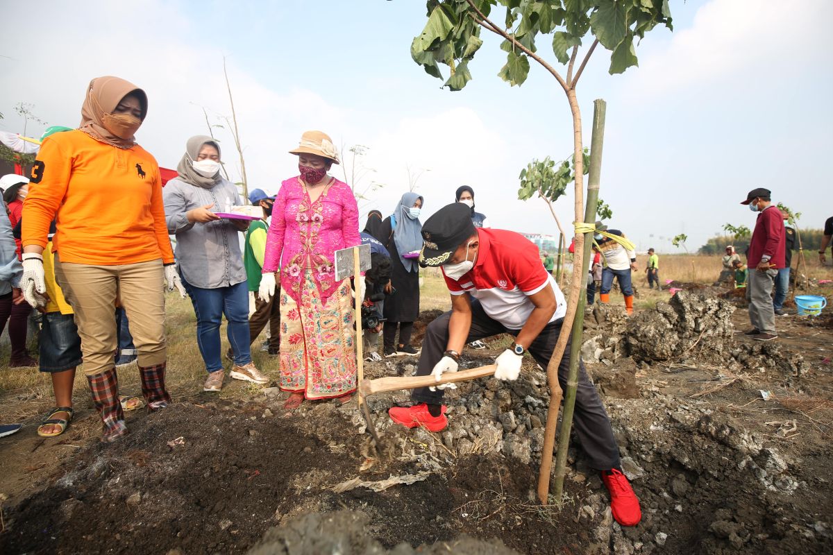 Tekan global warming, Wawali Surabaya pimpin penanaman pohon Kemiri Sunan di Green Belt TPA Benowo