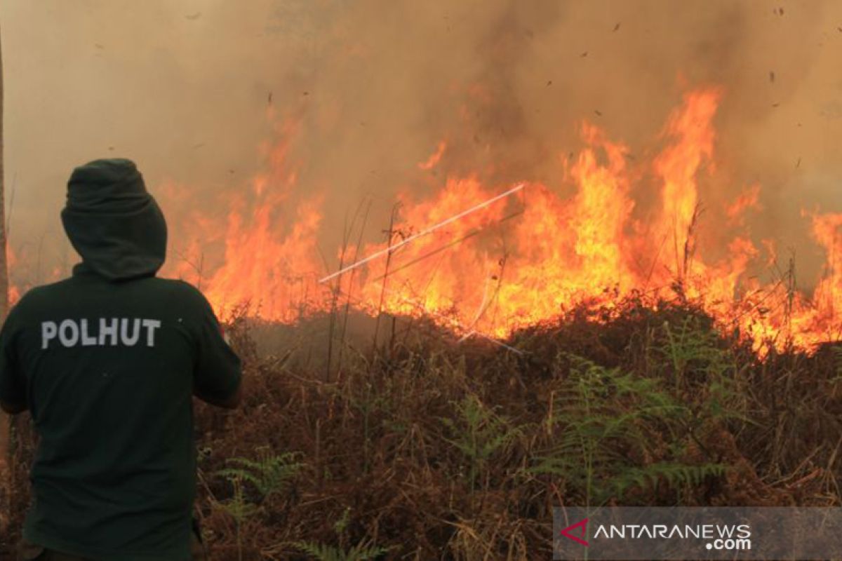 BMKG peringatkan potensi kebakaran lahan hingga hujan lebat