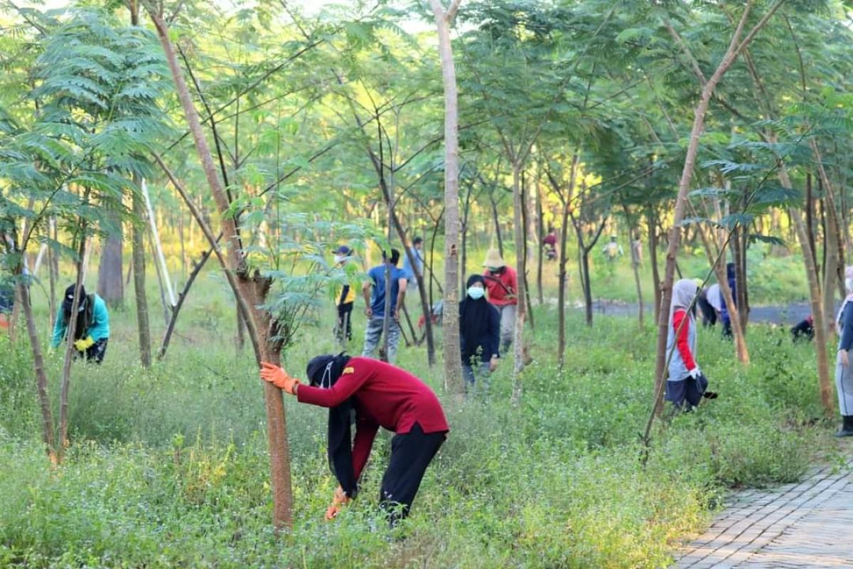 Dishut Kalsel rawat tanaman di bundaran pohon Jokowi