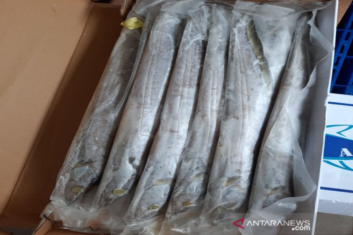 Ikan nila masih mendominasi ekspor hasil perikanan Sumut