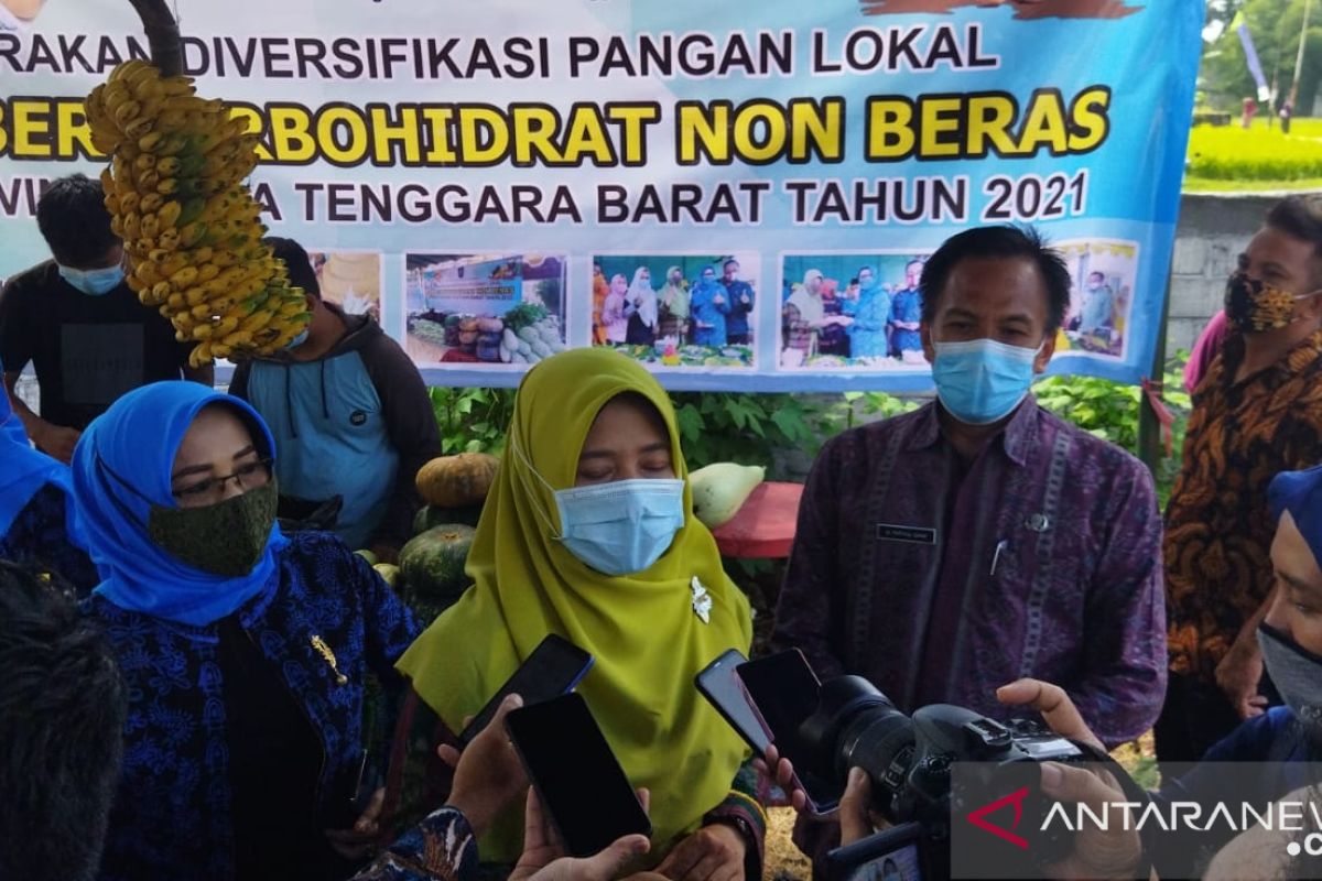 NTB mengkampanyekan diversifikasi pangan lokal pengganti nasi