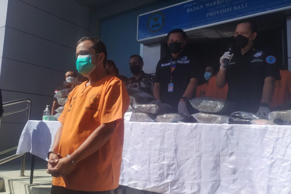 BNN ungkap penangkapan pemasok ganja lintas Sumatera-Bali