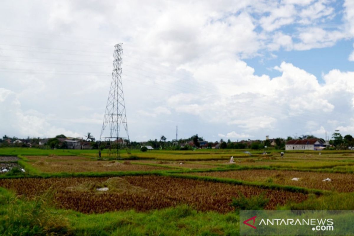 ASN Bogor ditarget beli 850 ton beras lokal untuk berdayakan petani