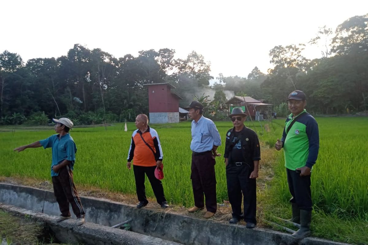 Pemkab Kapuas Hulu kekurangan tenaga penyuluh pertanian