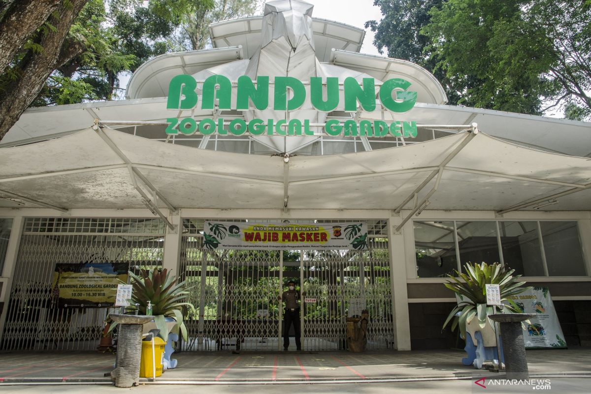 Kebun Binatang Bandung galang sumbangan untuk sediakan pakan satwa