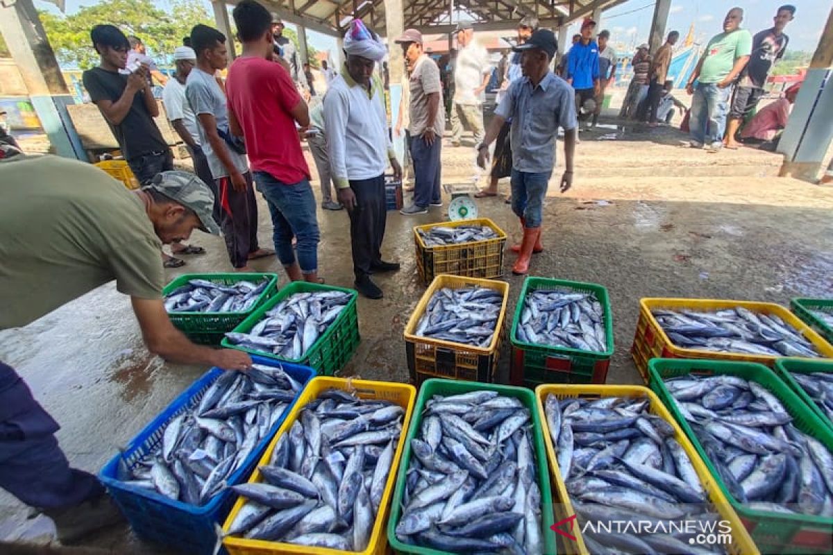 Dongkrak harga ikan, nelayan Aceh Timur  butuh cold stroge kapasitas 100-300 ton