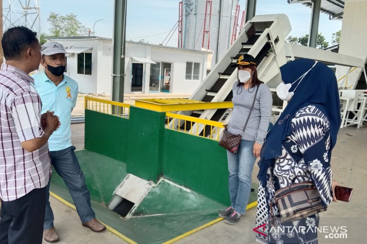 Sulawesi Selatan bangun pabrik benih jagung berkapasitas 1.000 ton