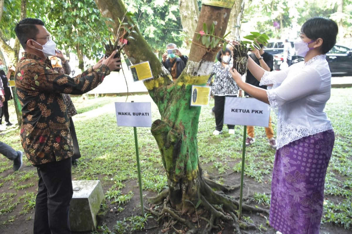 PKK Sleman menanam ratusan anggrek di perkantoran Pemkab Sleman