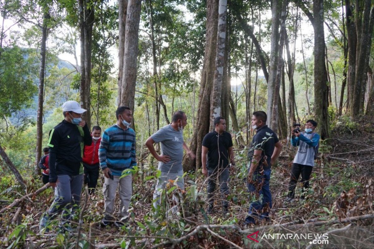 Pemprov Sumut kembangkan program Agoforestry berbasis Kopi Arabika di Tapsel