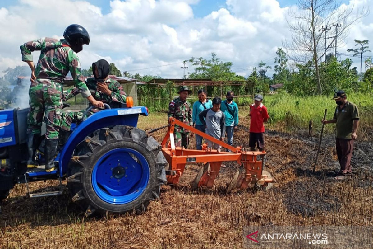 Kementan akan tambah food estate berbasis hortikultura