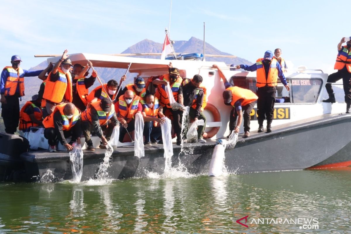 Bupati Bangli tebar 150.000 benih ikan nila di Danau Batur