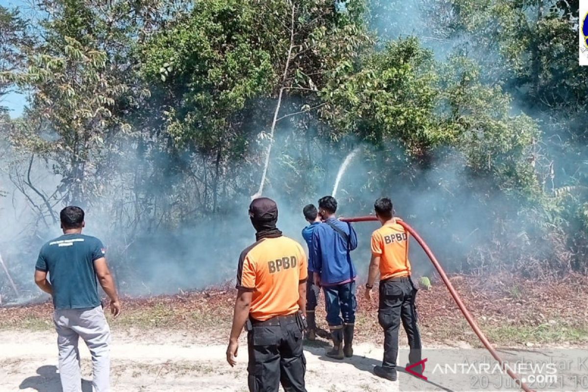 Kebakaran lahan melanda Sungai Hijau Kampar