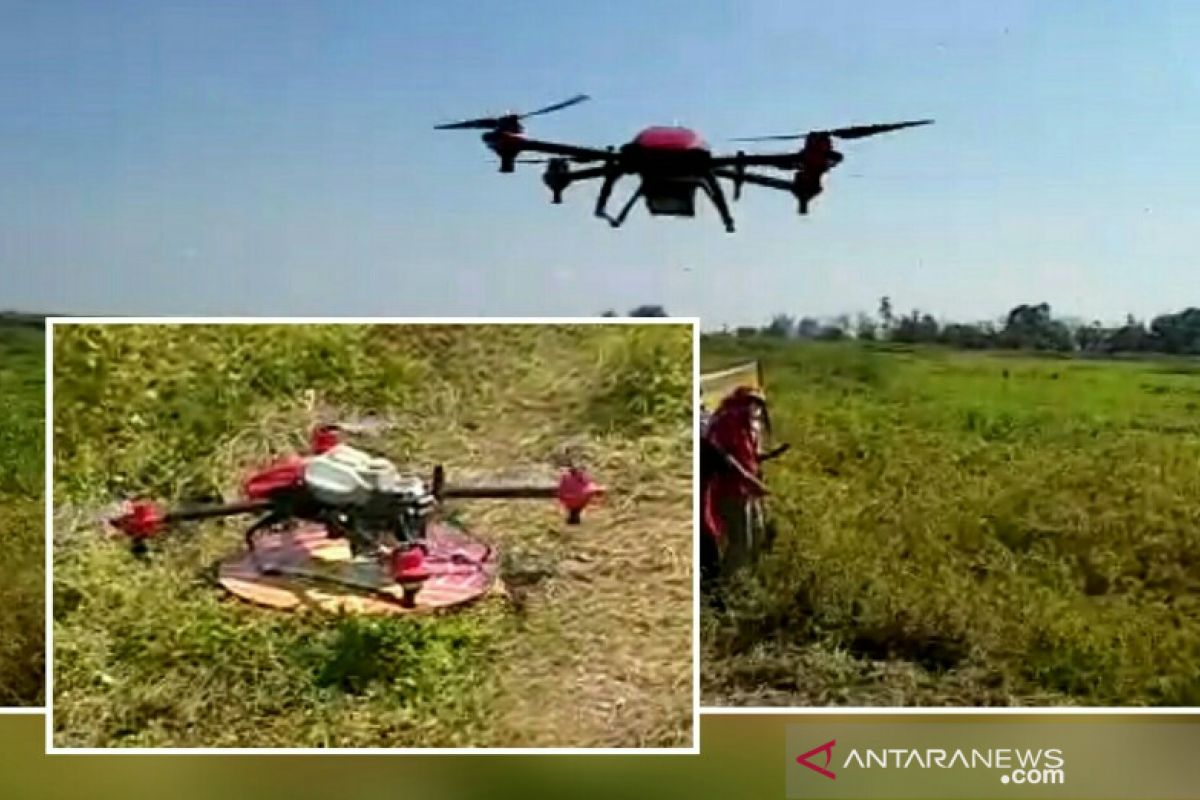 Distan pertimbangkan Drone pembasmi 'Susupan Gunung'