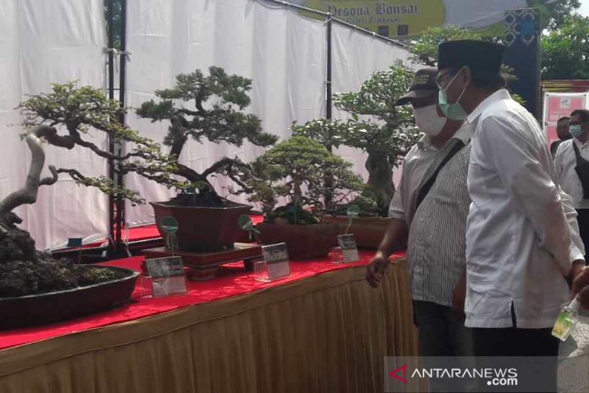 Ratusan peserta ramaikan pameran bonsai di GOR Temanggung