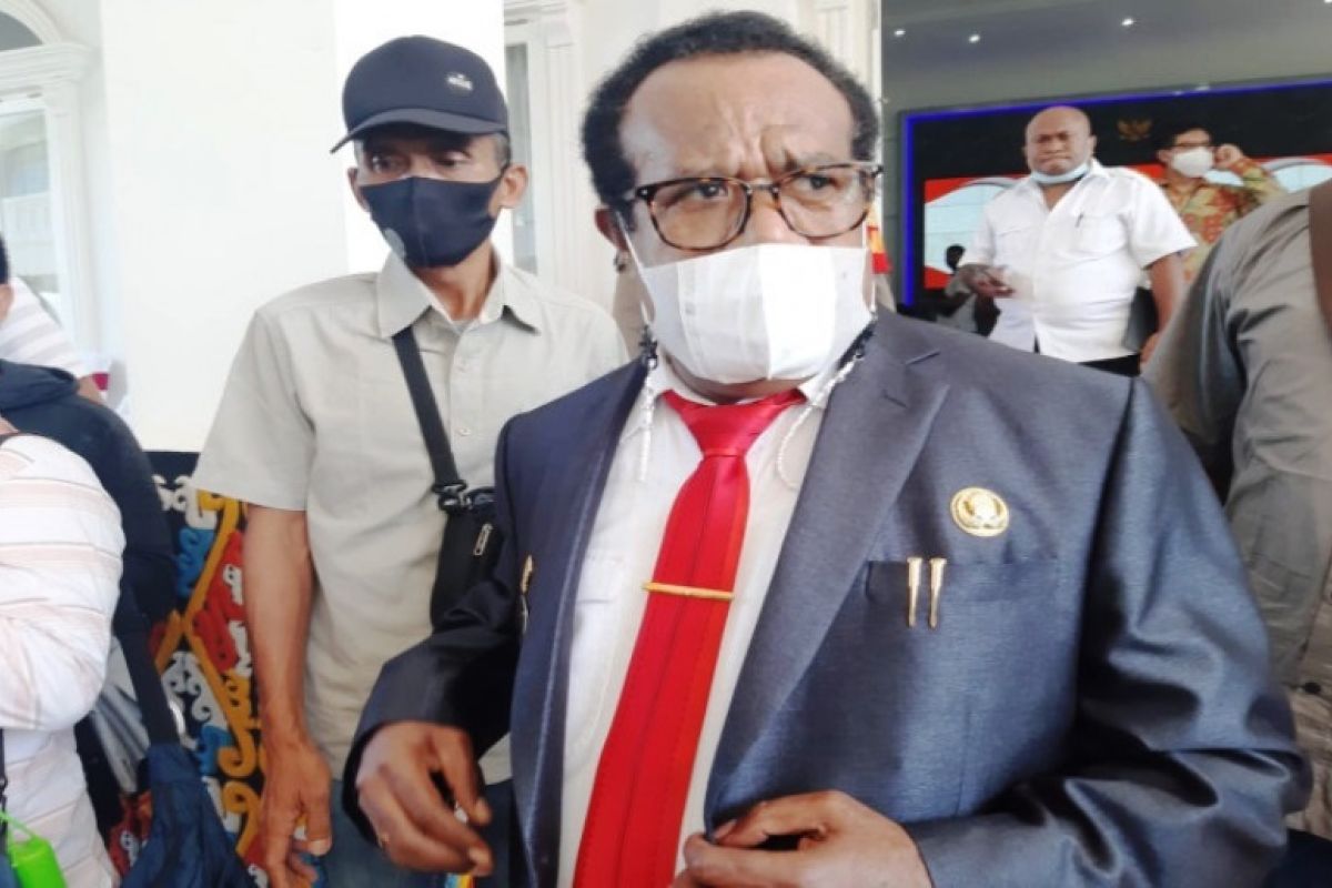 Pembentukan DOB Provinsi Papua Selatan diusulkan untuk dipercepat