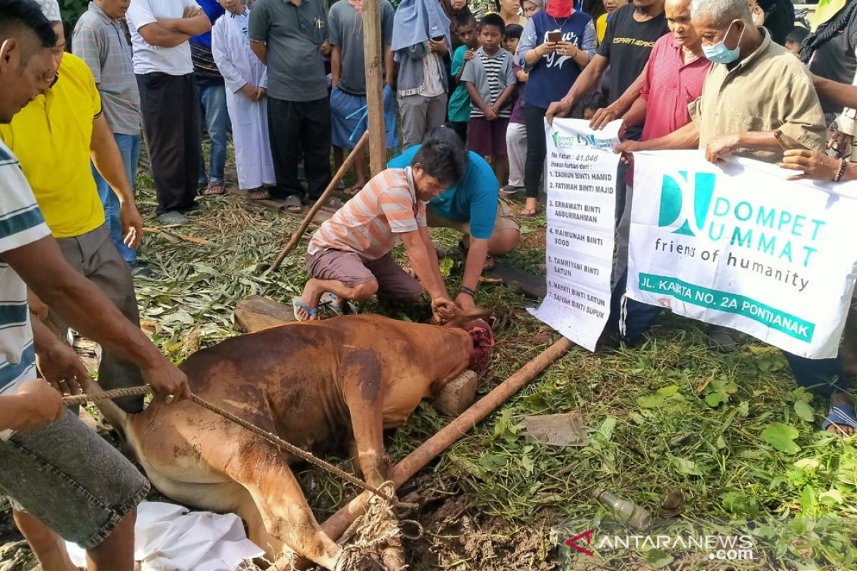 Dompet Umat kembali buka program Tebar Faedah Kurban