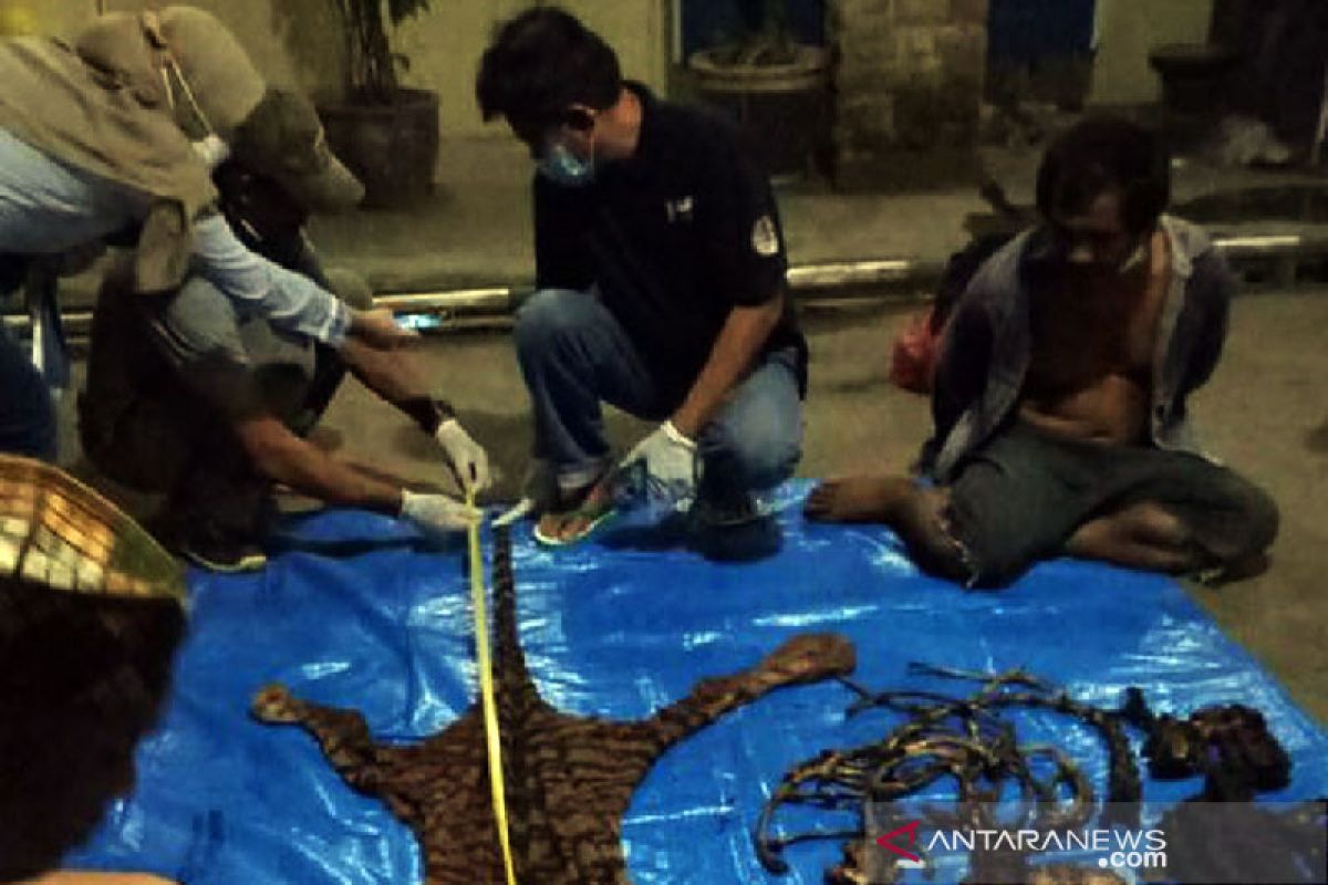KLHK tangkap pelaku perdagangan kulit dan organ harimau di Bengkulu