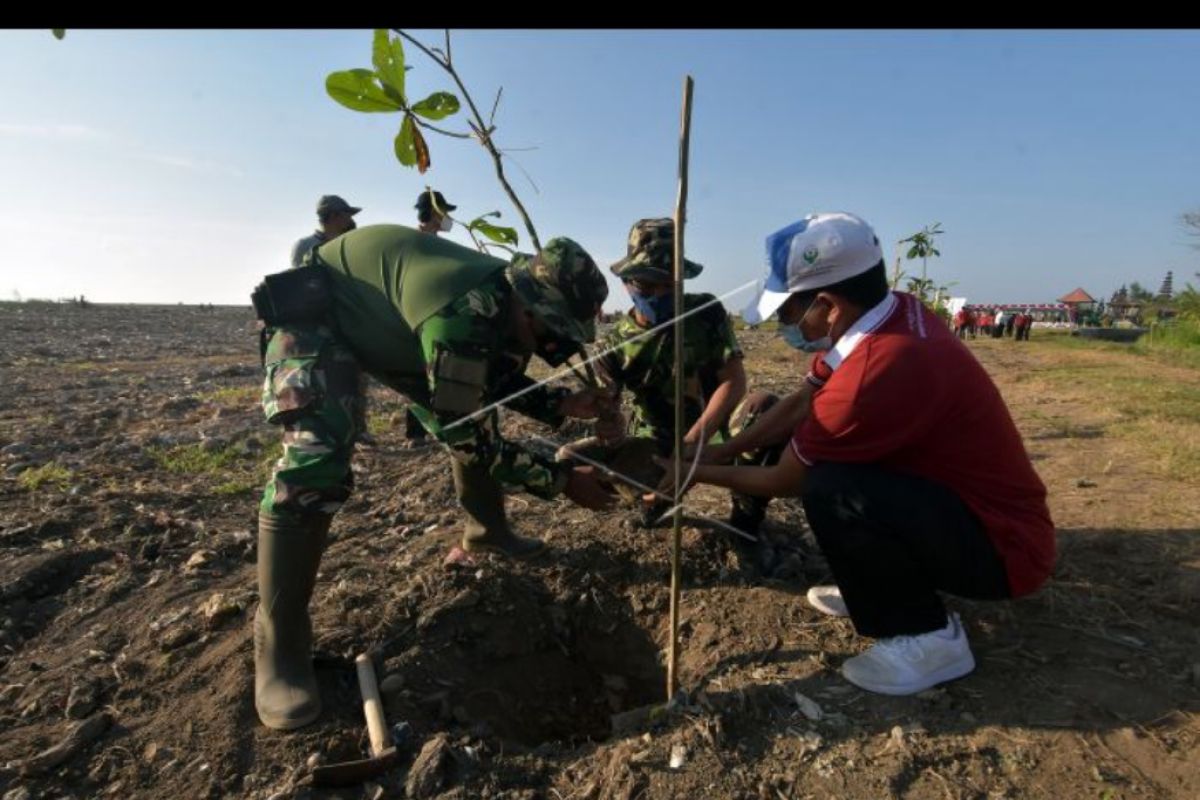 Gerakan menanam pohon