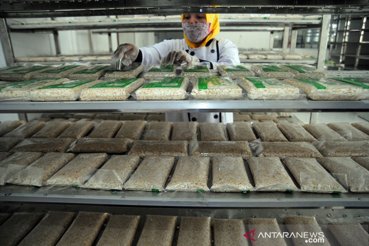 Menparekraf dorong tempe Indonesia agar mendunia