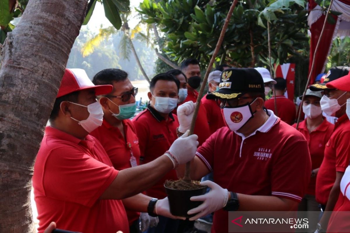 Tabanan peringati Bulan Bung Karno dengan tanam 5.030 bibit  mangrove