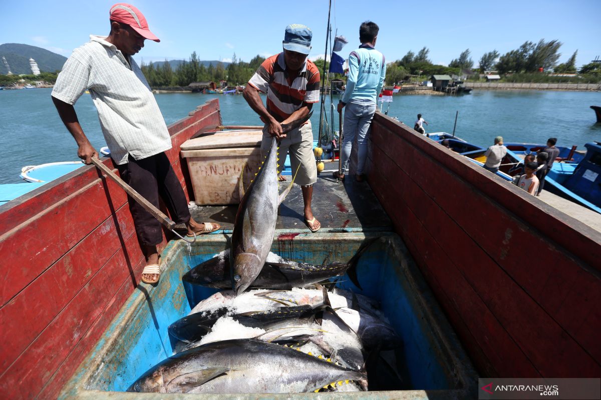 Consumers becomes more conscious of fishing practices: Iskindo