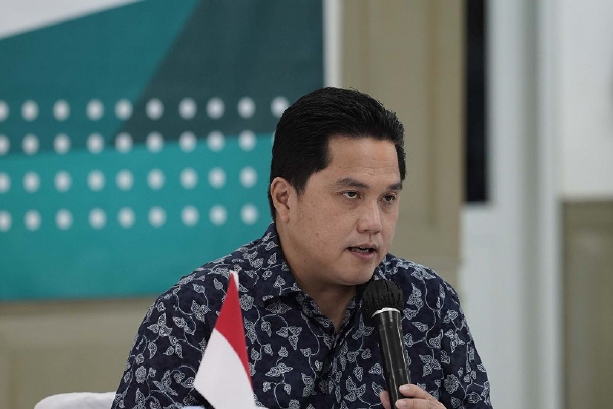 Erick Thohir : Ivermectin untuk terapi, bukan Obat Covid-19