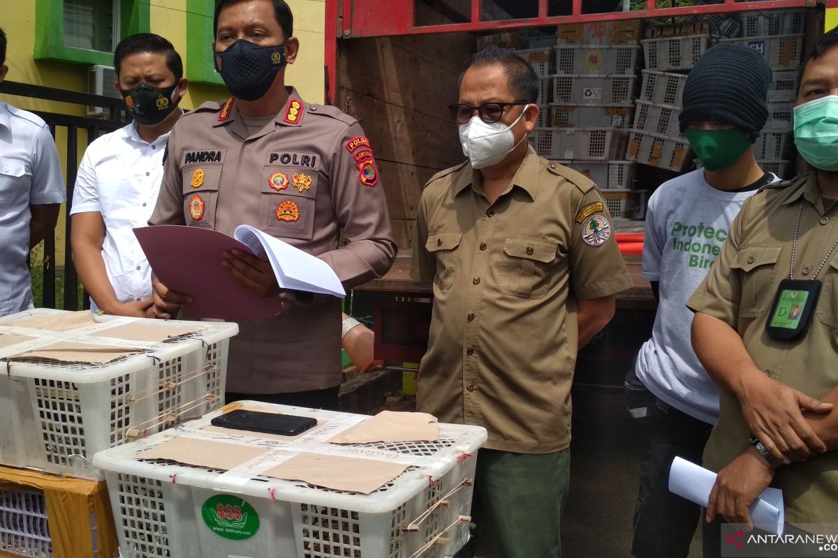 Tim gabungan polisi dan NGO gagalkan penyelundupan ribuan burung
