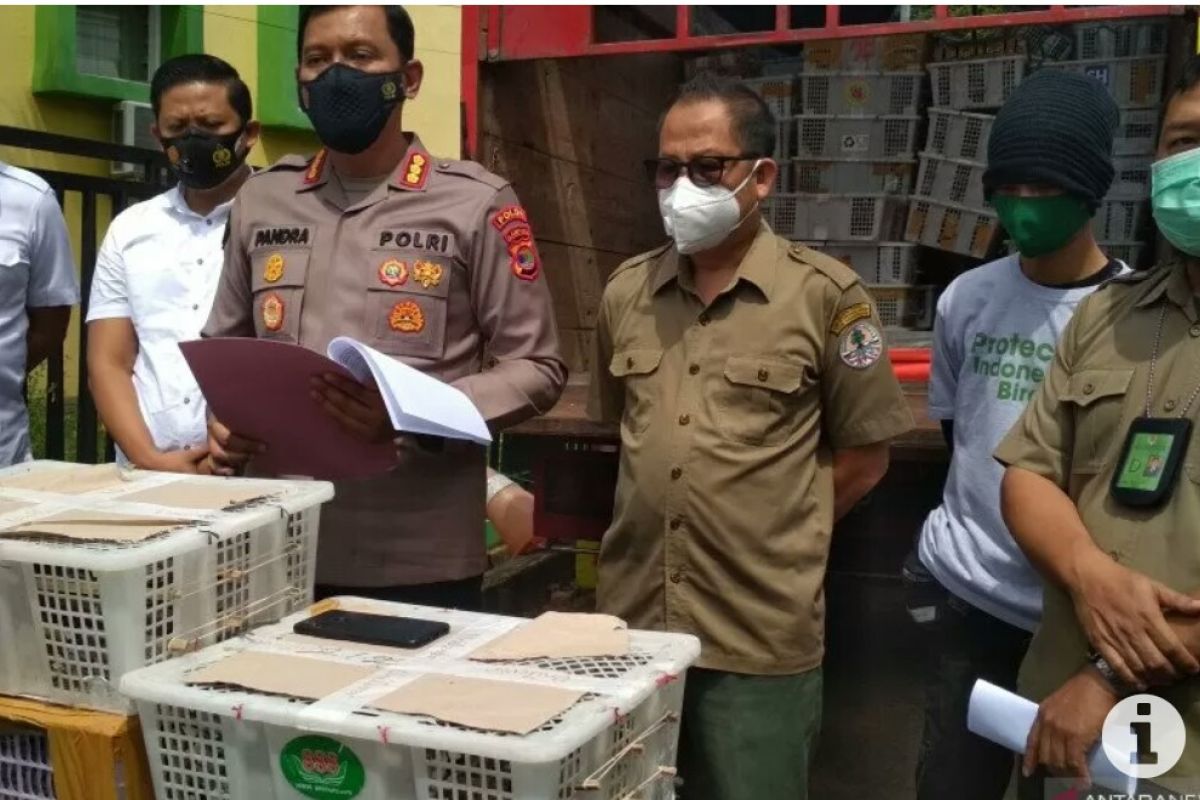 Tim gabungan gagalkan penyelundupan ribuan burung, begini kronologinya