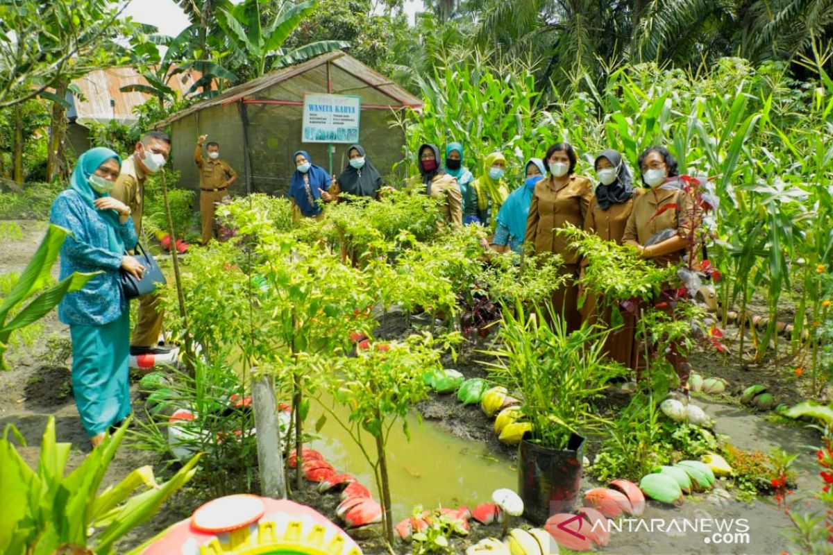 Ikuti lomba tingkat Sumut, TP PKK Asahan lakukan pembinaan di Desa Taman Sari