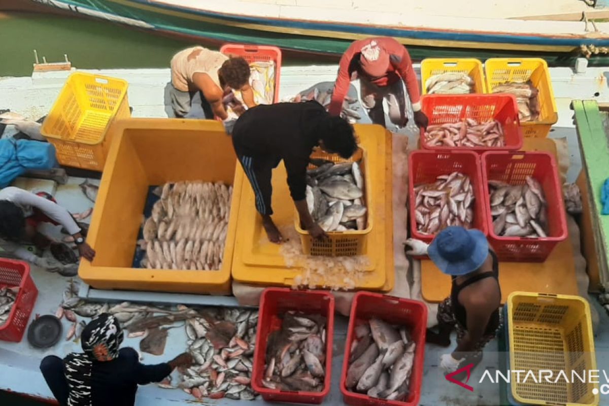 Produksi ikan di PPN Sungailiat ditargetkan sebanyak 477,6 ton