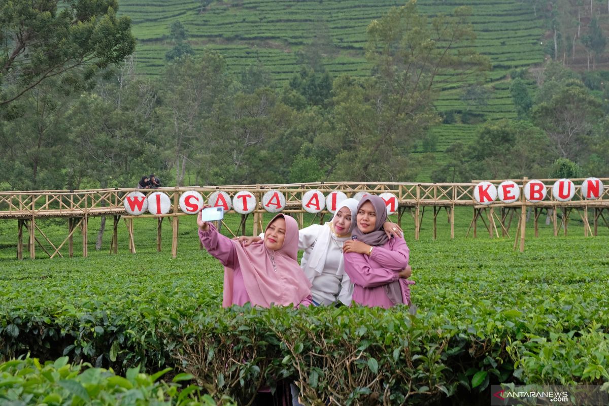 Teh memainkan peran penting kurangi kemiskinan ekstrem