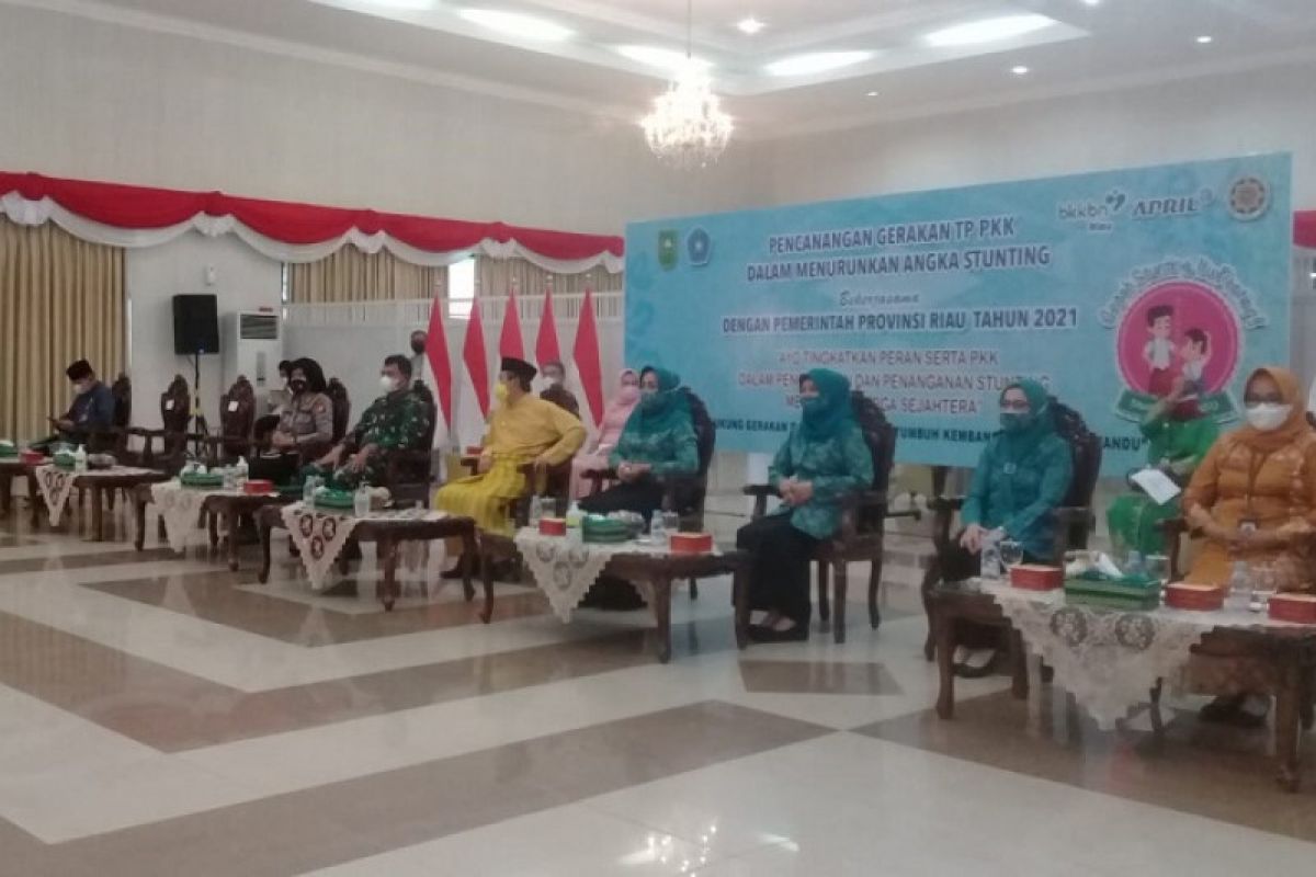 Riau berupaya percepat penanganan stunting