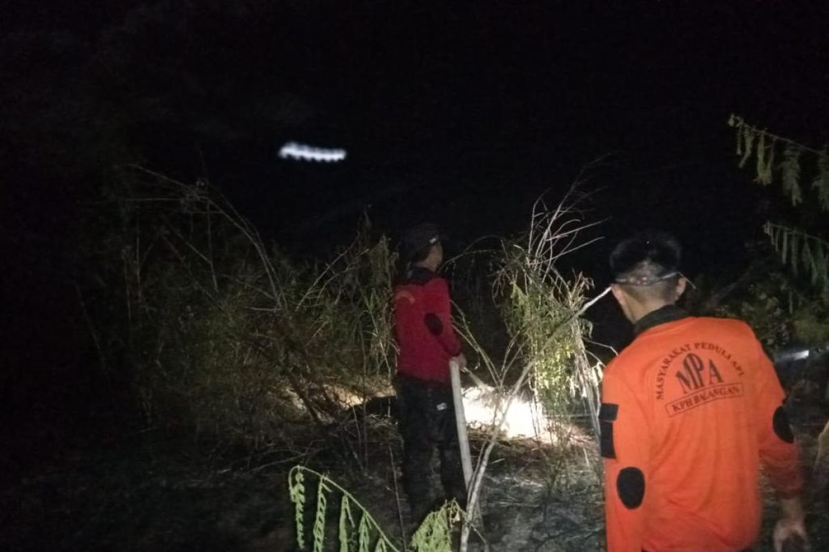 Dua hektare lahan gambut di Kecamatan Lampihong terbakar