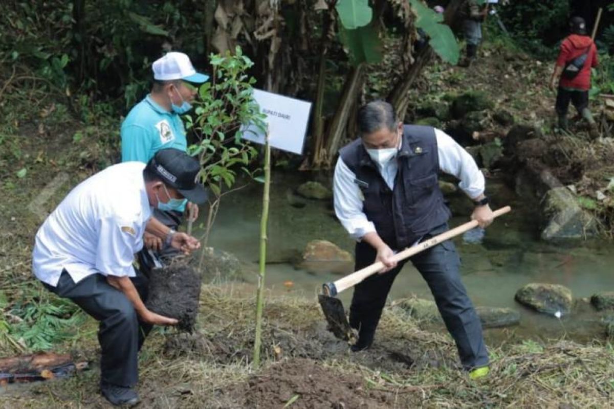 Pemkab Dairi gelorakan Gerakan  Menanam Pohon