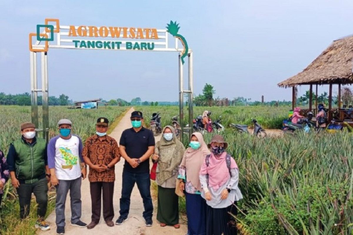 Hilirisasi produk nanas perkuat agrowisata Desa Tangkit Baru Jambi