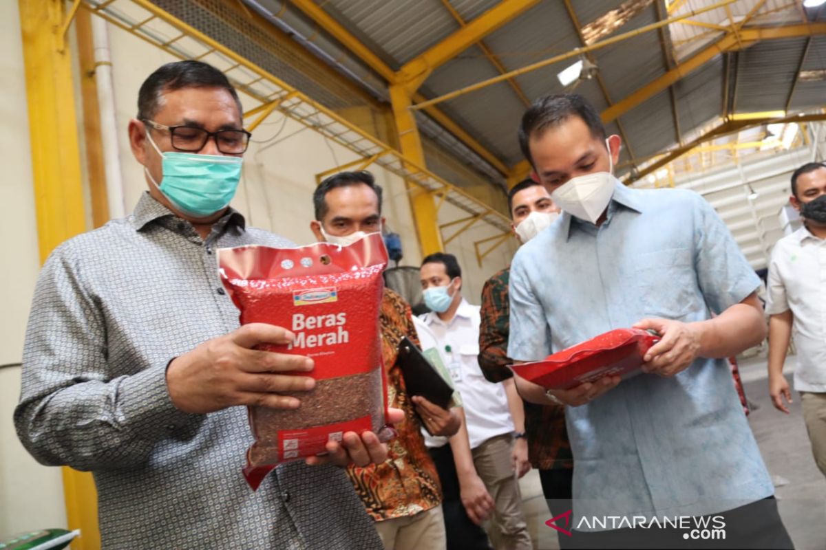 Pemkab kelola pengemasan Beras Solok tingkatkan kesejahteraan petani